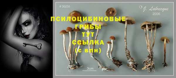 мдпв Лагань