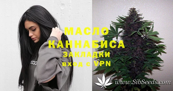 мдпв Лагань