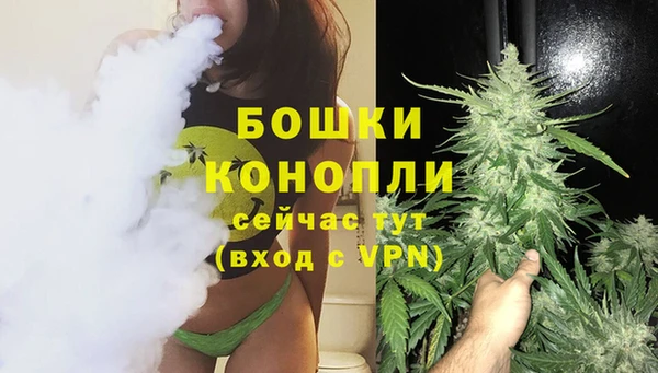 мдпв Лагань