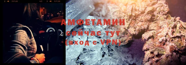 мдпв Лагань