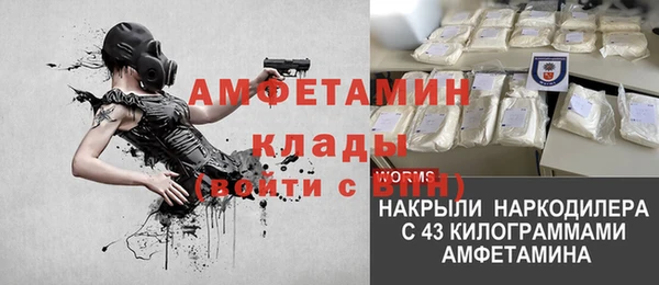 мдпв Лагань