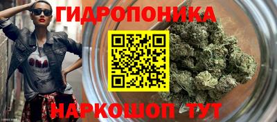 дурь Заводоуковск