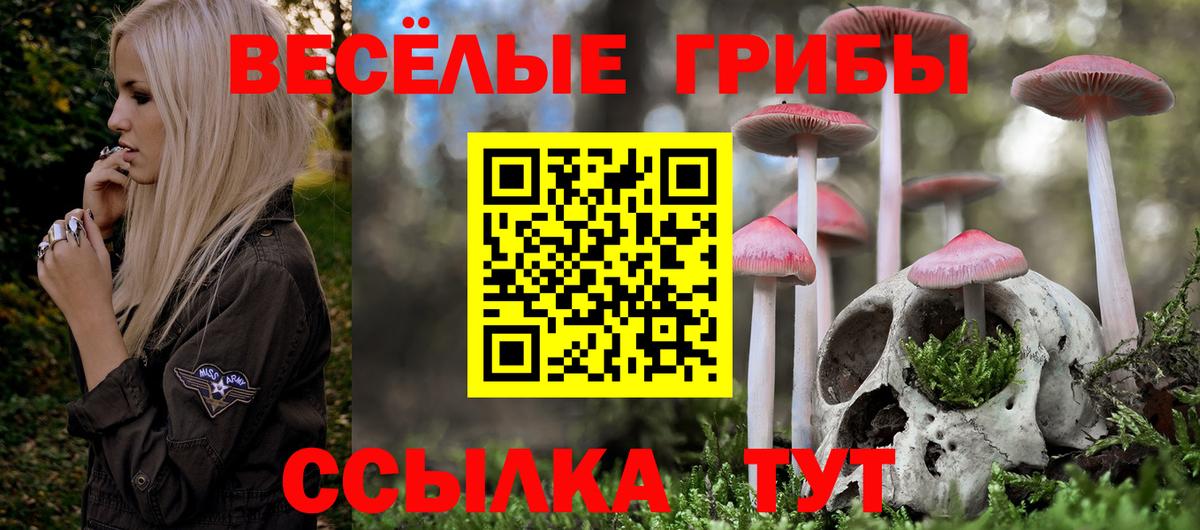 Псилоцибиновые грибы Cubensis  Вход с VPN  Усть-Джегута 